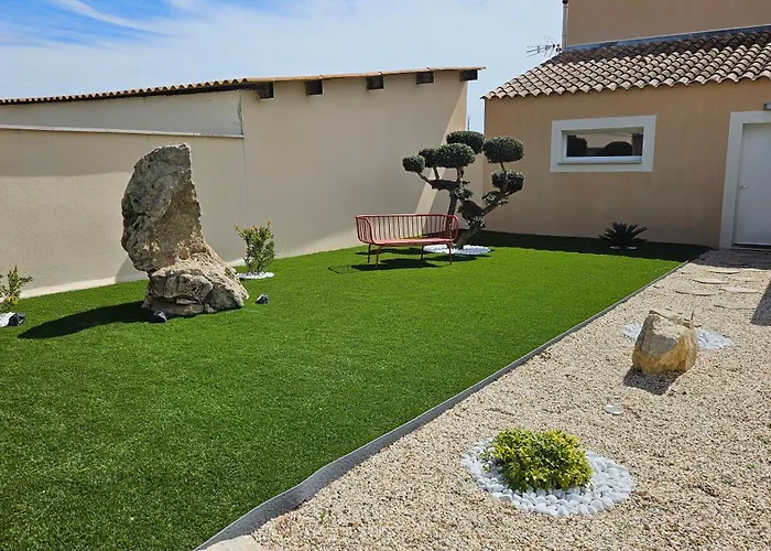 Pissenlit Une Prairie En Provence