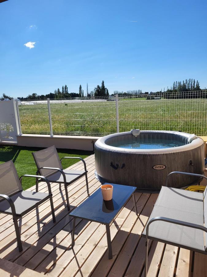 Pissenlit Prairie En Provence Holiday home Arles
